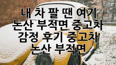내 차 팔 땐 여기! 🚗 논산 부적면 중고차 감정 후기 #중고차 #논산 #부적면