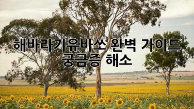 해바라기유바쏘 완벽 가이드: 궁금증 해소!